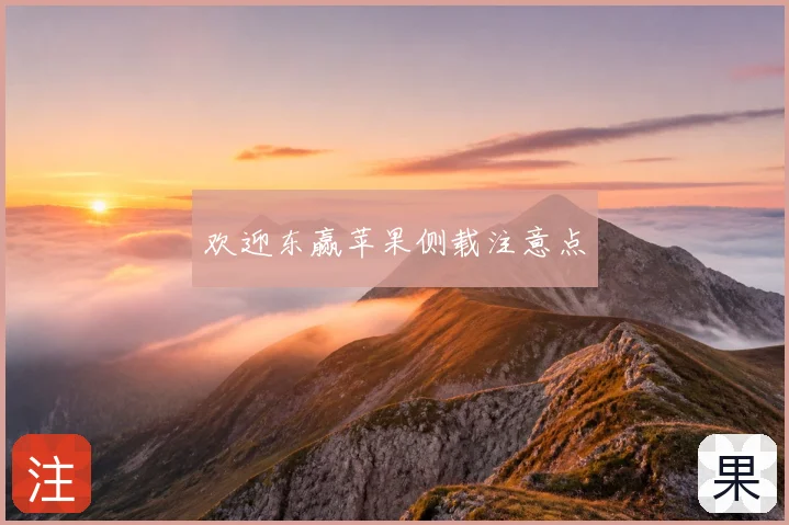 欢迎东赢苹果侧载注意点