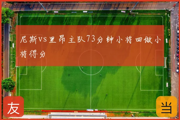 尼斯vs里昂主队73分钟小将回做小将得分